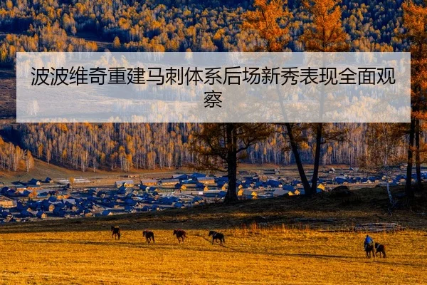 波波维奇重建马刺体系后场新秀表现全面观察